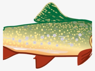 Fish Clipart Trout - Trout Clip Art