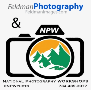 Feldman Photography - Emblem