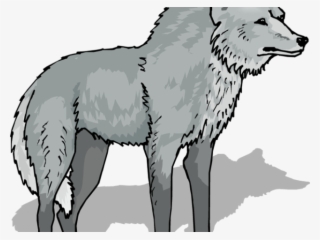 Gray Wolf Clipart Transparent Background - Transparent Wolf Clip Art Png