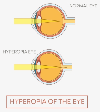 Illustration Of Human Eye - Circle