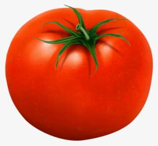 Free Png Download Tomato Transparent Png Images Background - Plum Tomato