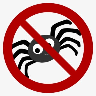 Spider - We Do Not Accept Paypal