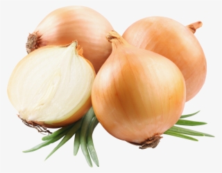 Onions Png Picutre - Onion Png