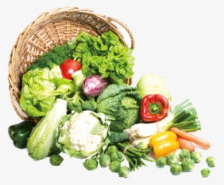 Free Png Download Vegetables Png Images Background - Organic Vegetables Png
