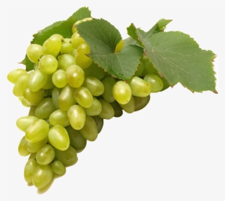 Green Grapes - Grapes Fruit Png