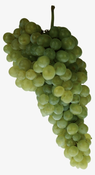 Download Grape Png Images Background - Grape