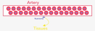 Nutrients - Circle