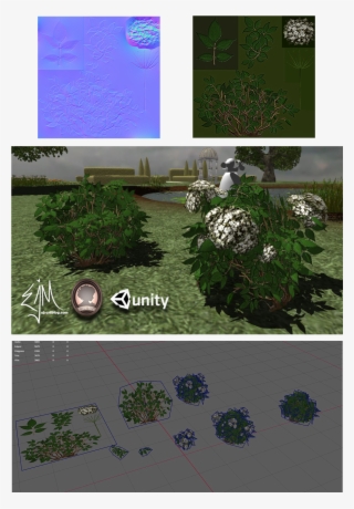 Elderberrybush Ejtheartist - Yard