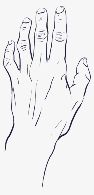 Tense And Thin Looking Hand Reaching Upwards Drawing Transparent Png 1000x1000 Free Download On Nicepng