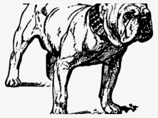 English Bulldog Clipart Transparent - Dibujo De Un Perro Bulldog