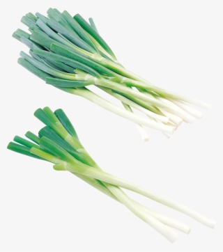 Leek Png, Download Png Image With Transparent Background, - Onion