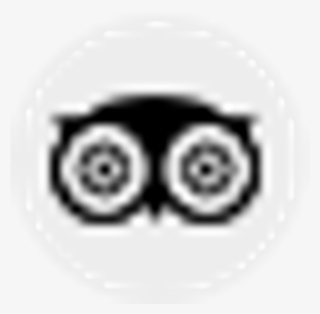 9988dfc6 768f 4ff4 A24a Abca3f8644c6 Icon Tripadvisor - Circle
