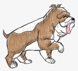 Duke The English Bulldog - Illustration