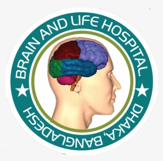 Brain Life Hospital - Parts Of The Brain
