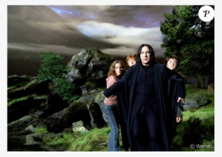 Alan Rickman, Alias Severus Snape/rogue, Dans Harry - Harry Potter I Snape