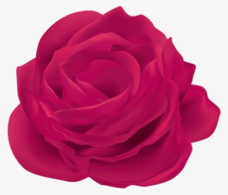 Free Png Download Pink Rose Flower Png Images Background - Garden Roses