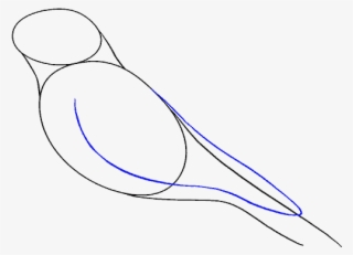 How To Draw Raven - Line Art