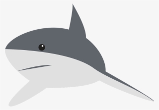 Shark, Perspective, Swimming, Fin, Animal, Gray - Shark Clipart
