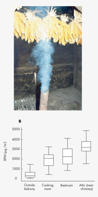 To Fluorine And Arsenic From Stove Use In Southern - Soda Straw