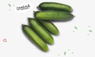 Average Lenght - Cucumber
