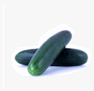 Our Products - Pickled Cucumber