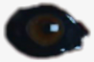 Eye Sticker