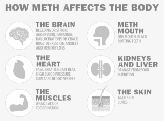 Methonbody - Effects Of Ice On The Brain