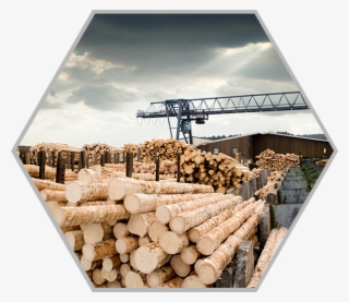 Lumber1 - Lumber Mill
