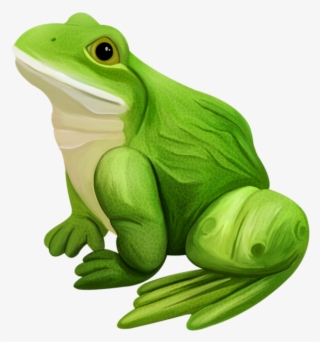 Grenouilles Frog Tube Pinterest Grenouillesfrogtube - Grenouille Png