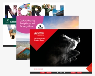 Brochures - Online Advertising