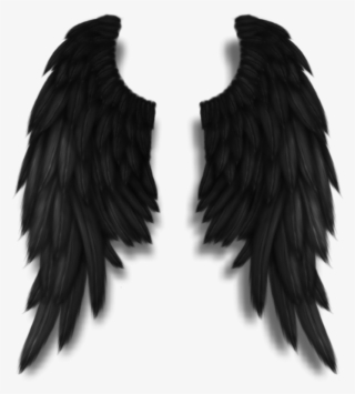 Darkangel Angelwings Angels Angel Wings Feathers Fly - Black Angel Wings Png