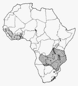 Map Of Africa With The Distributions Of The Three Previously - Map