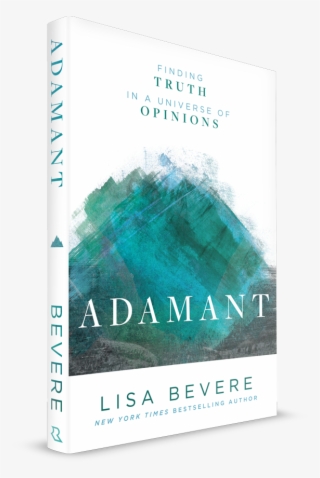 Adamant Book 3d Mock - Flyer