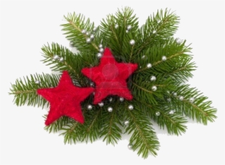 December 2013 Century House - Christmas Decoration Logo