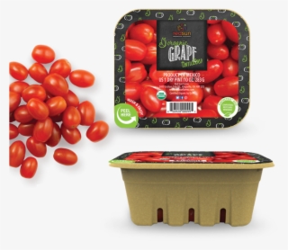Up Close With Red Sun Farms' Earthcycle Packaging - Cherry Tomatoes
