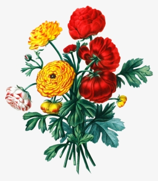 De Alta Definicion De Color De Ramo De Flores En El - Vintage Graphic Flower Png