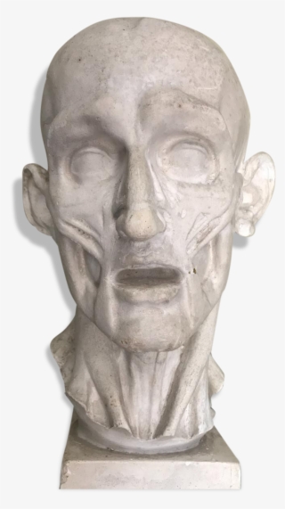 Head In Plaster From Houdon - Carving