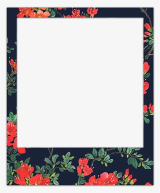 Pack De Polaroids - Frame Floral Png