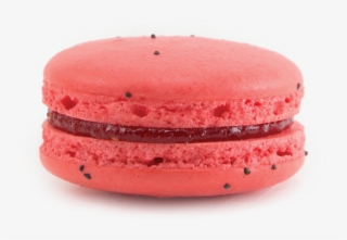 Strawberry - Macaron Aesthetic Png