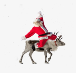 Santa Reindeer Christmas Holiday - Christmas