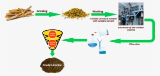 Extraction Of Licorice - Diagram