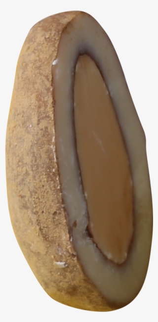 Home - Bronze