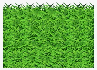 Free Png Grass Png Images Transparent - Vascular Plant