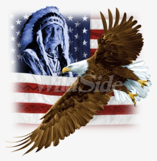 Eagle Flag Picture - Hawk