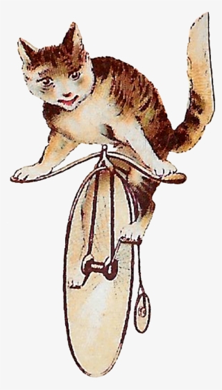 Digital Tabby Cats Riding Antique Bicycle Downloads - Kitten