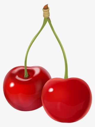 cherries clip art png transparent image