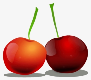 Prodigious Cherry Clipart Free Fruit Names A With Pictures - Cherry