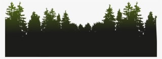 View Vector Forest - Forest Png