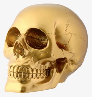 Gold Skull Png - Head Skull