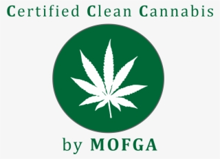 Morning Ganja